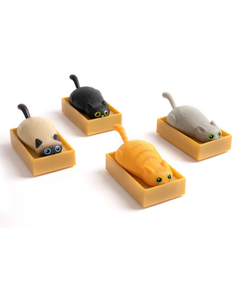 Racing Cats in Boxes Pull Back Toy