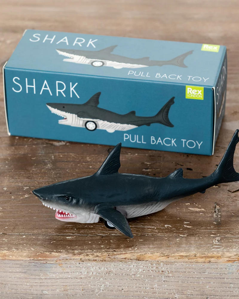 Shark Pull Back Toy