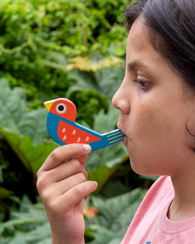 Wooden Bird Whistle Toy