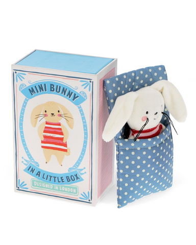 Bunny In A Box Toy