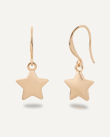 Emily Star Hook Earrings by D&X