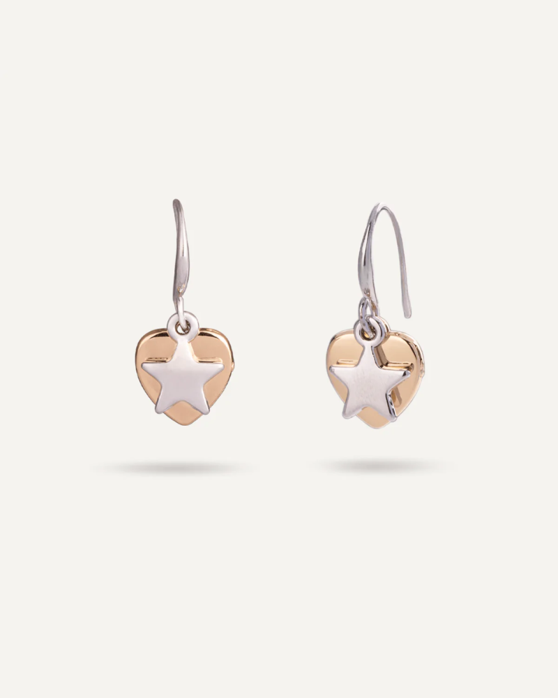 Silver Emily Heart & Star Hook Earrings by D&X