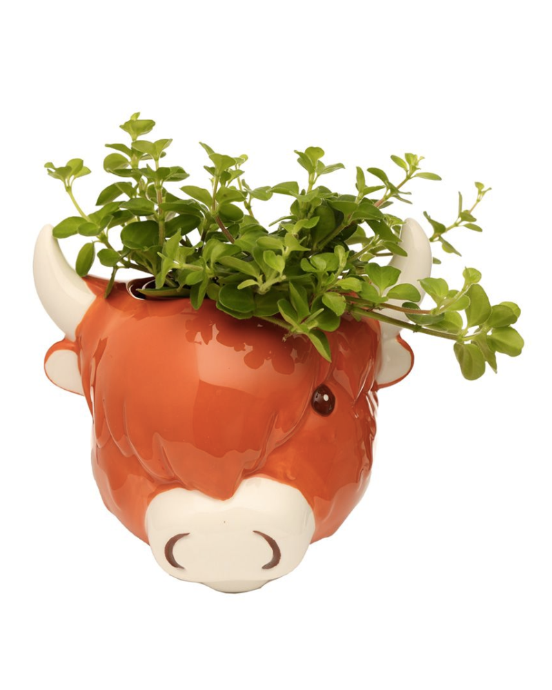 Highland Cow Shaped Wall Planter