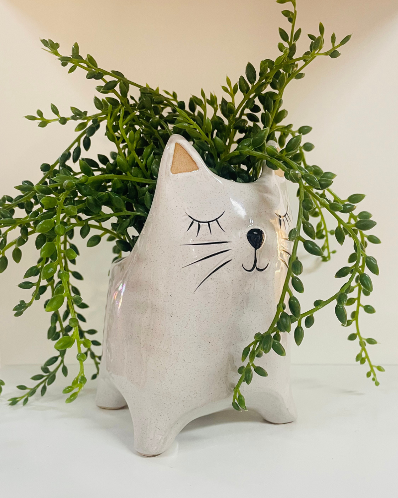 Cat Plant Pot