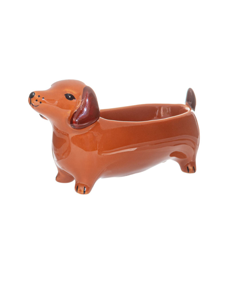 Dachshund Trinket Dish