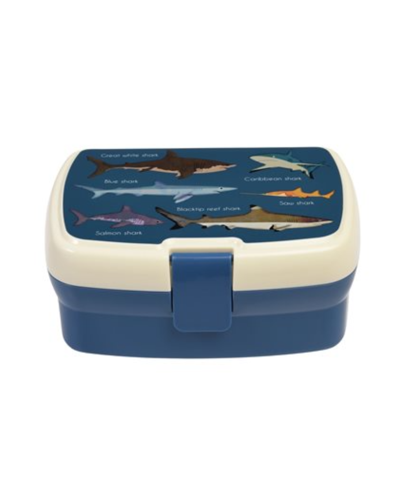 Shark Lunch Box